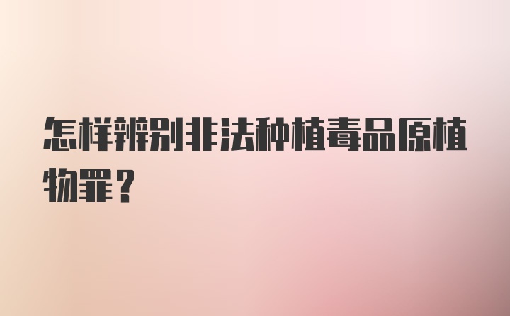 怎样辨别非法种植毒品原植物罪？