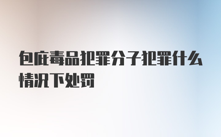 包庇毒品犯罪分子犯罪什么情况下处罚