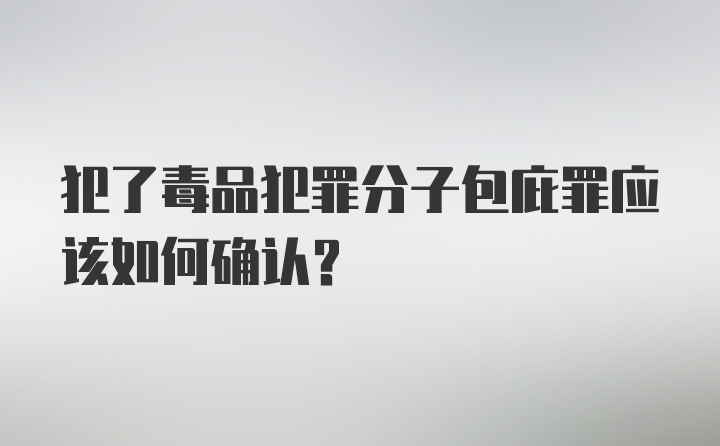 犯了毒品犯罪分子包庇罪应该如何确认?