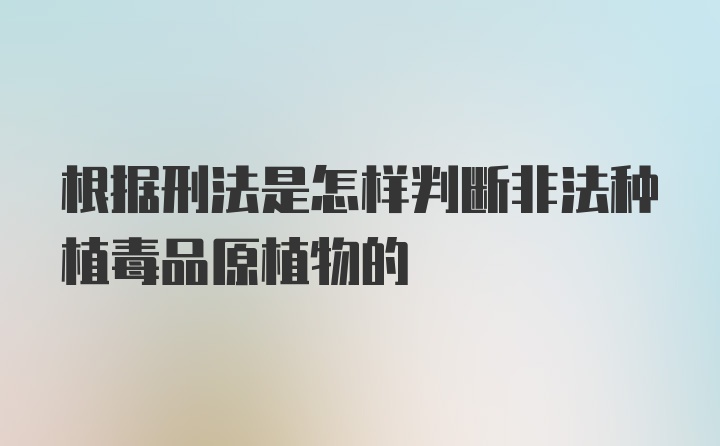 根据刑法是怎样判断非法种植毒品原植物的