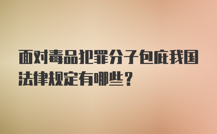 面对毒品犯罪分子包庇我国法律规定有哪些？