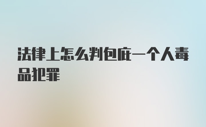 法律上怎么判包庇一个人毒品犯罪