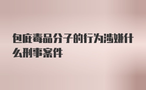 包庇毒品分子的行为涉嫌什么刑事案件