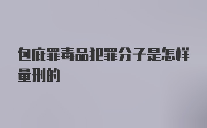 包庇罪毒品犯罪分子是怎样量刑的