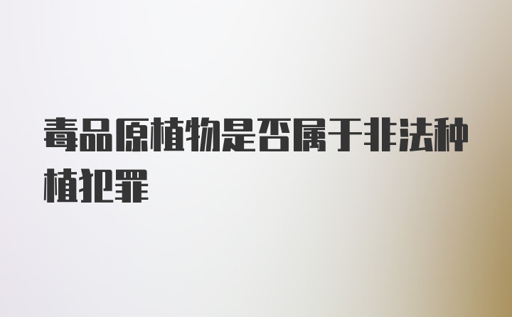 毒品原植物是否属于非法种植犯罪