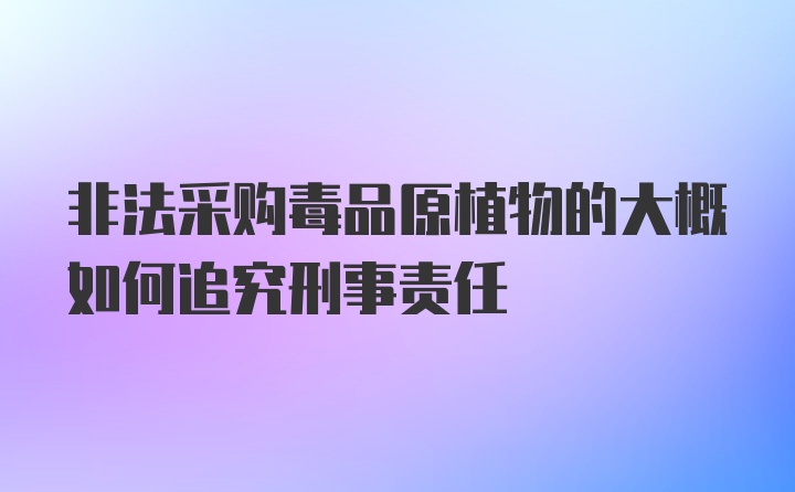 非法采购毒品原植物的大概如何追究刑事责任