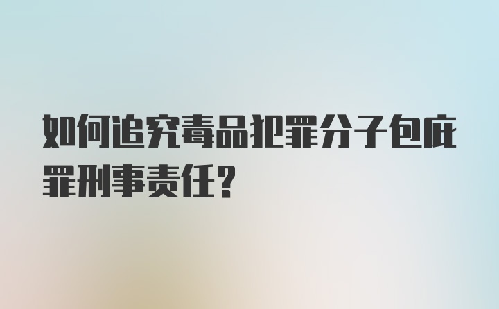 如何追究毒品犯罪分子包庇罪刑事责任?