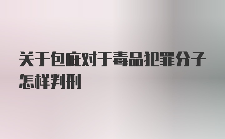 关于包庇对于毒品犯罪分子怎样判刑