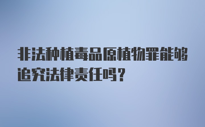 非法种植毒品原植物罪能够追究法律责任吗?