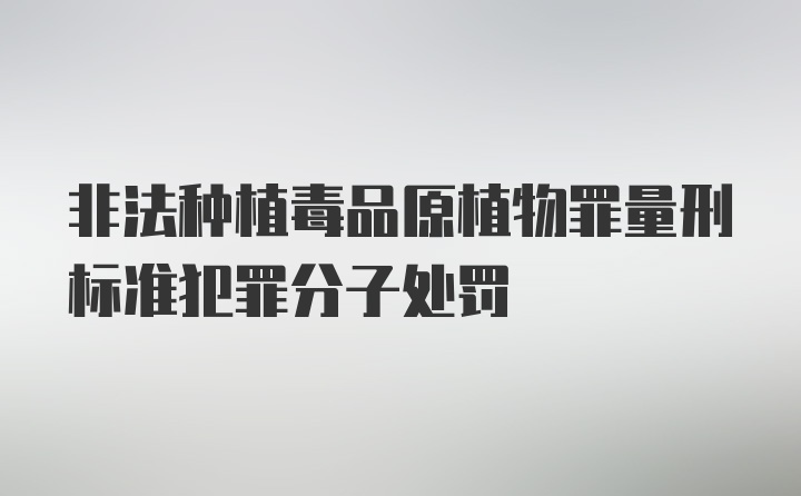 非法种植毒品原植物罪量刑标准犯罪分子处罚