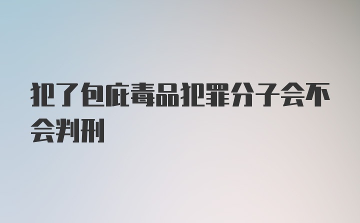 犯了包庇毒品犯罪分子会不会判刑