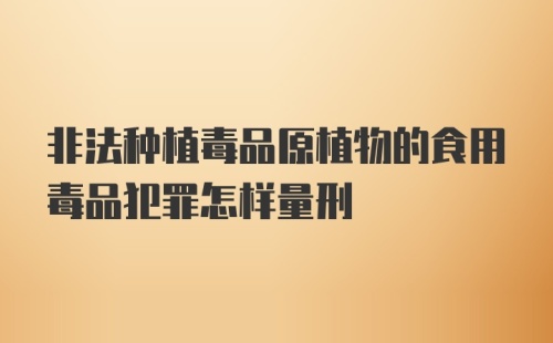 非法种植毒品原植物的食用毒品犯罪怎样量刑