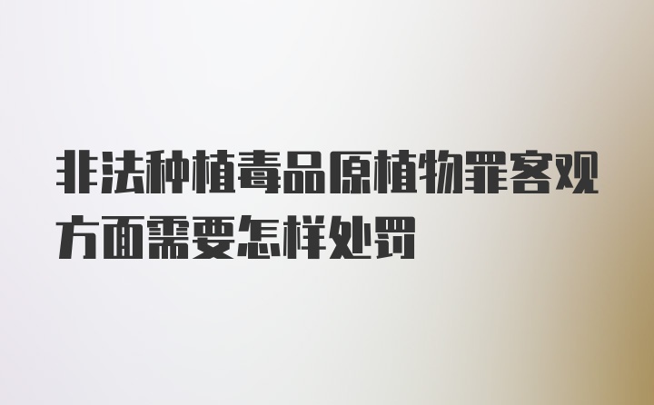 非法种植毒品原植物罪客观方面需要怎样处罚