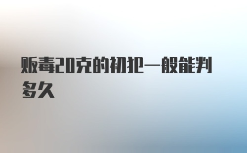 贩毒20克的初犯一般能判多久