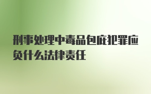 刑事处理中毒品包庇犯罪应负什么法律责任