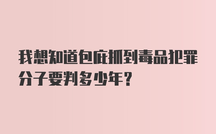 我想知道包庇抓到毒品犯罪分子要判多少年?