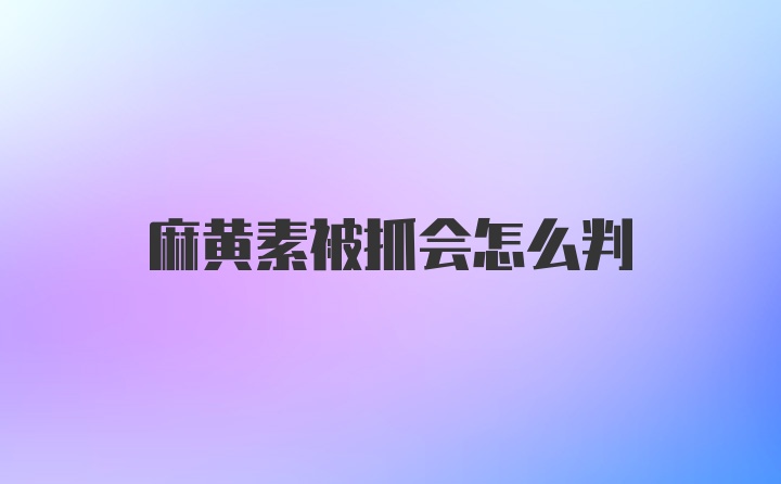 麻黄素被抓会怎么判