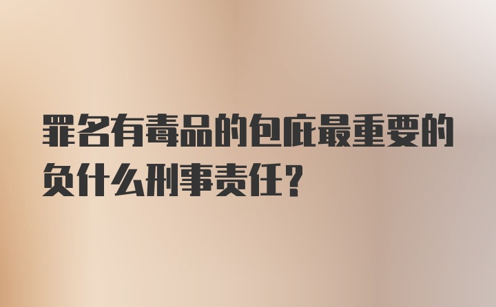 罪名有毒品的包庇最重要的负什么刑事责任？