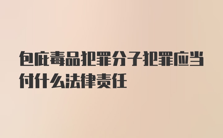 包庇毒品犯罪分子犯罪应当付什么法律责任