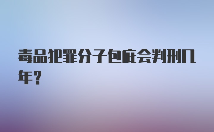 毒品犯罪分子包庇会判刑几年？