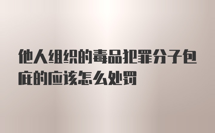 他人组织的毒品犯罪分子包庇的应该怎么处罚