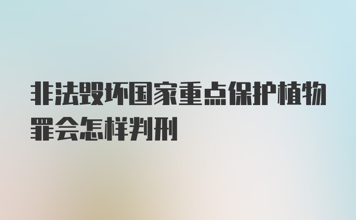 非法毁坏国家重点保护植物罪会怎样判刑