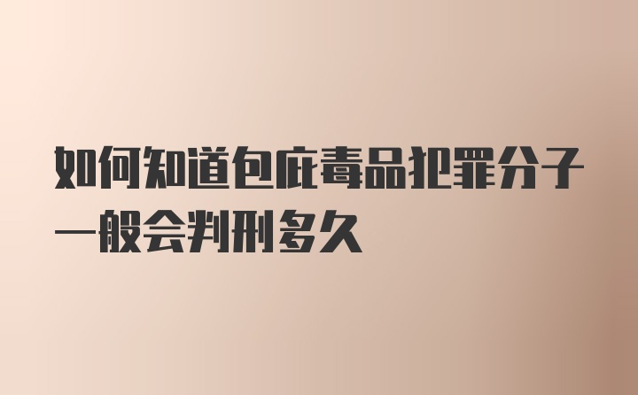 如何知道包庇毒品犯罪分子一般会判刑多久