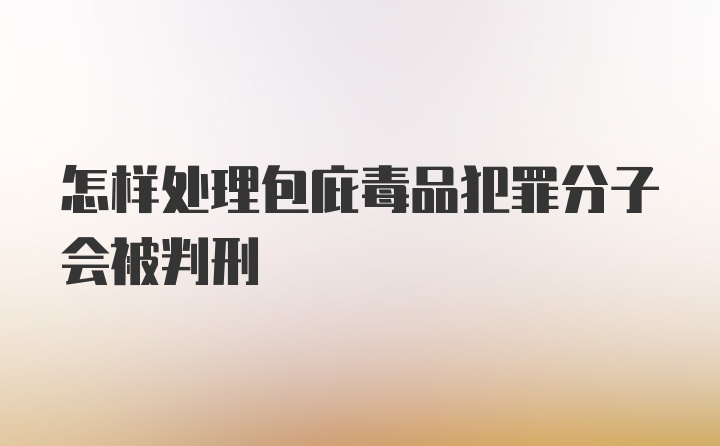 怎样处理包庇毒品犯罪分子会被判刑