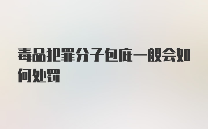 毒品犯罪分子包庇一般会如何处罚