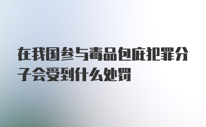 在我国参与毒品包庇犯罪分子会受到什么处罚