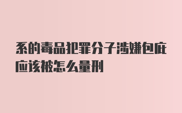 系的毒品犯罪分子涉嫌包庇应该被怎么量刑