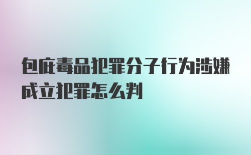 包庇毒品犯罪分子行为涉嫌成立犯罪怎么判