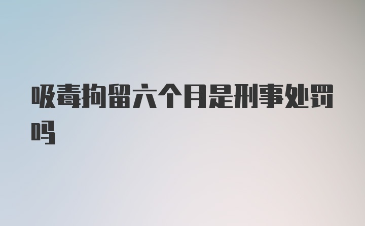 吸毒拘留六个月是刑事处罚吗