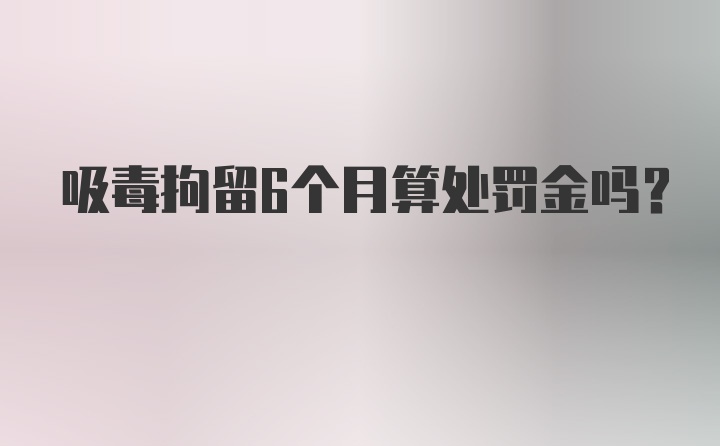 吸毒拘留6个月算处罚金吗？