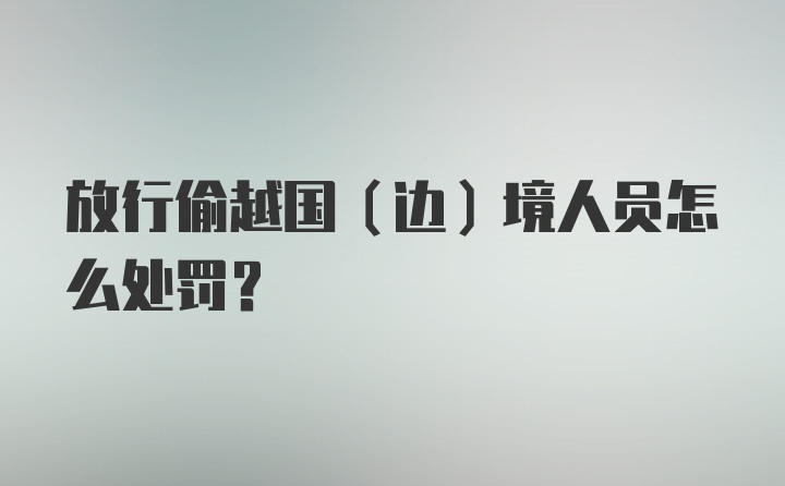 放行偷越国（边）境人员怎么处罚？