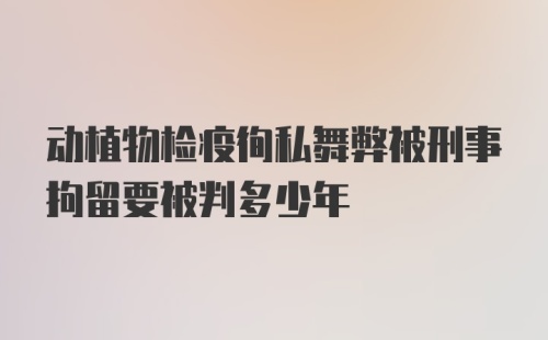 动植物检疫徇私舞弊被刑事拘留要被判多少年