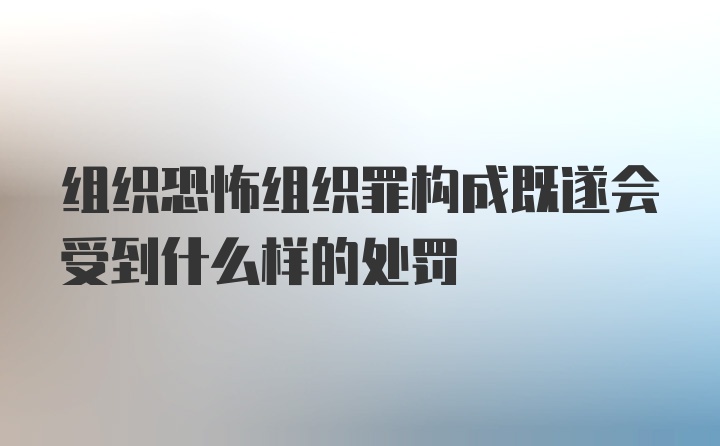 组织恐怖组织罪构成既遂会受到什么样的处罚