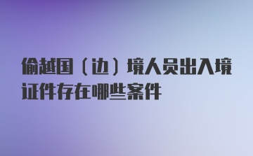 偷越国（边）境人员出入境证件存在哪些案件