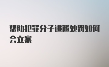 帮助犯罪分子逃避处罚如何会立案