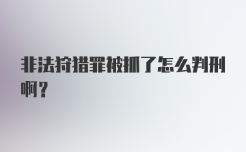 非法狩猎罪被抓了怎么判刑啊？