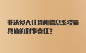 非法侵入计算机信息系统罪具体的刑事责任？