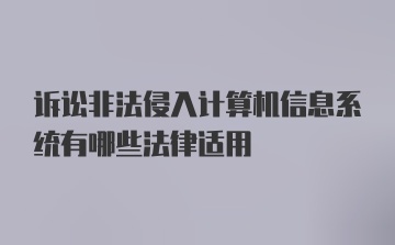 诉讼非法侵入计算机信息系统有哪些法律适用