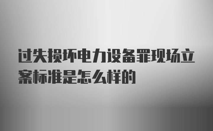 过失损坏电力设备罪现场立案标准是怎么样的