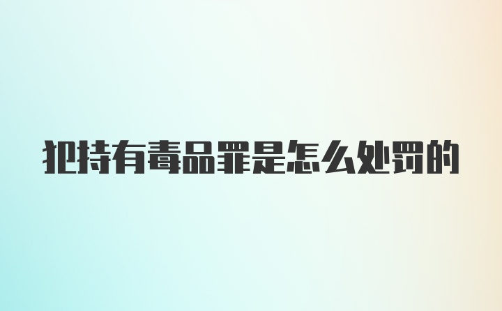 犯持有毒品罪是怎么处罚的