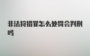 非法狩猎罪怎么处罚会判刑吗