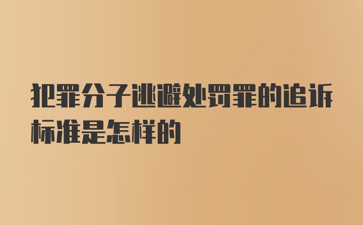 犯罪分子逃避处罚罪的追诉标准是怎样的