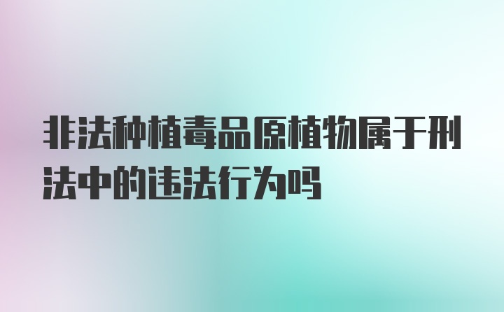 非法种植毒品原植物属于刑法中的违法行为吗