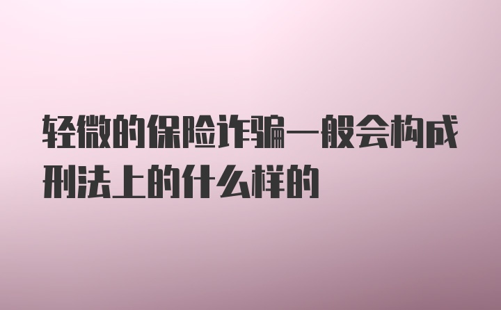 轻微的保险诈骗一般会构成刑法上的什么样的