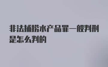 非法捕捞水产品罪一般判刑是怎么判的