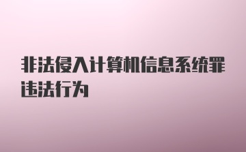 非法侵入计算机信息系统罪违法行为